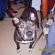 Orka participe au concours pour gagner de l'argent avec cette photo :