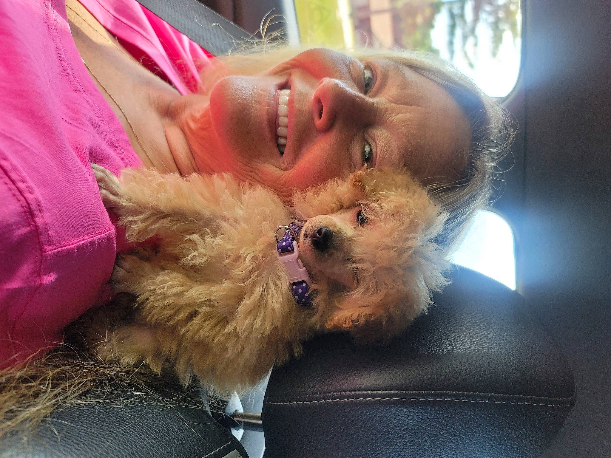 Sugar Rae joined the competition — help win amazing prizes! beard, canidae, carnivore, companion_dog, dog, dog_breed, eyewear, fawn, fur, glasses, happy, pomeranian, small_terrier, smile, snout, sporting_group, sunglasses, terrier, toy, toy_dog