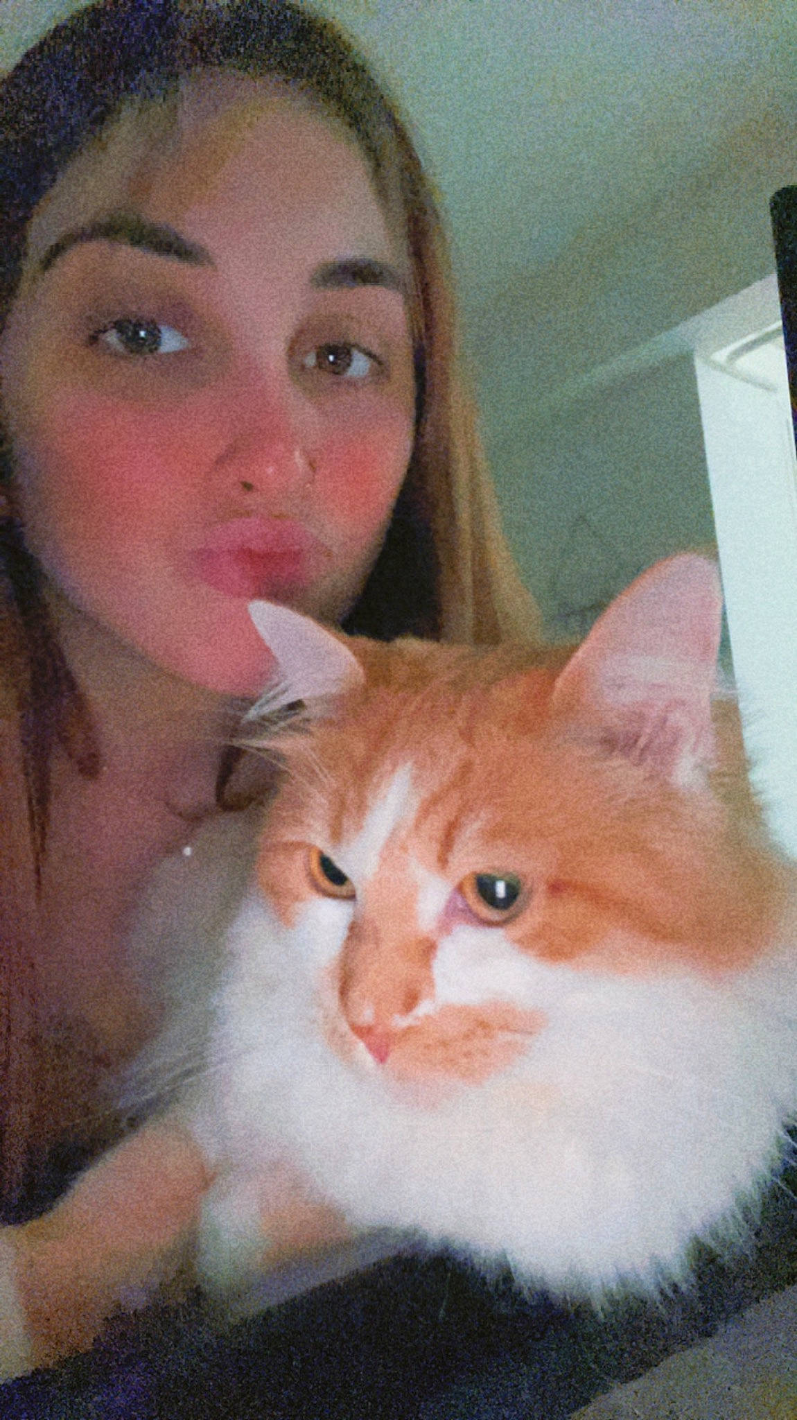 Minou a rejoint le concours — aidez-le/la à gagner de superbes lots ! bangs, box, carnivore, cat, cheek, domestic_short_haired_cat, ear, eye, eyelash, fawn, felidae, fur, hair, head, iris, nose, selfie, skin, small_to_medium_sized_cats, whiskers