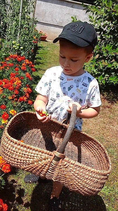 Kaïs participe au concours pour gagner de l'argent avec cette photo : basket, child, headwear, indian_cobra, person, plant, product, wicker