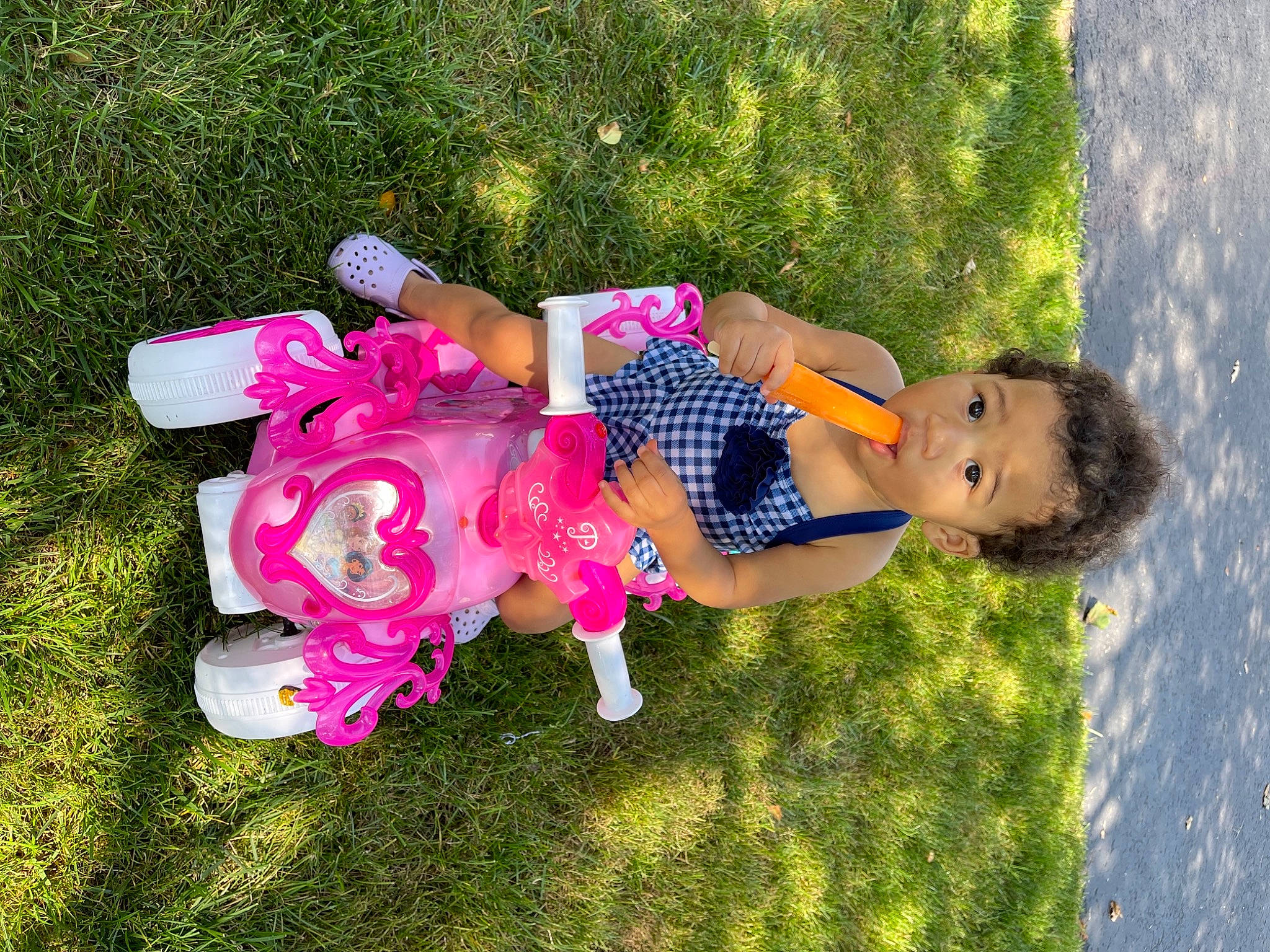 Aylah Simone joined the competition — help win amazing prizes! beauty, botany, child, dress, fun, grass, grass_family, happy, lawn, leg, leisure, people_in_nature, person, plant, recreation, rose, sandal, thigh, toddler, toy