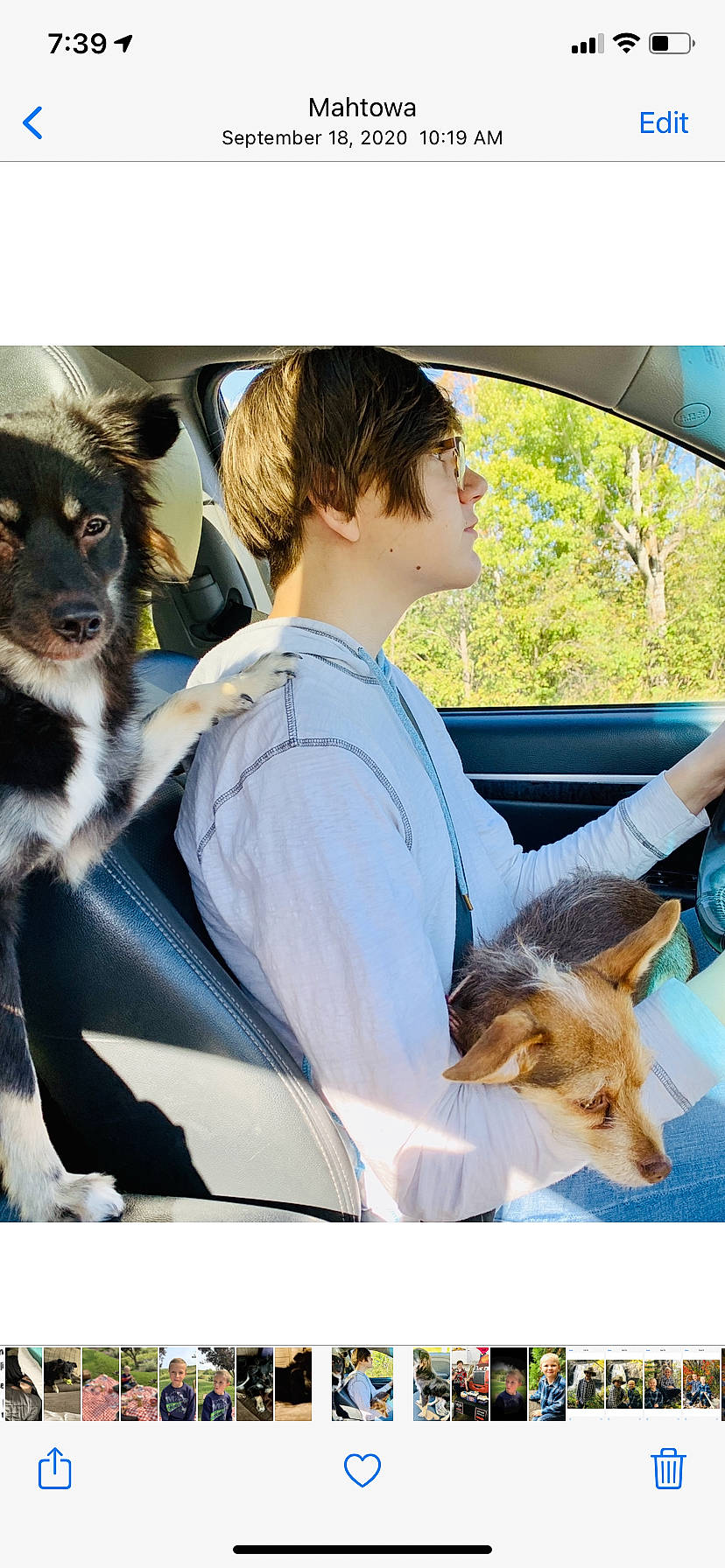 Max joined the competition — help win amazing prizes! automotive_exterior, canidae, carnivore, companion_dog, dog, dog_breed, electric_blue, eyewear, family_car, fawn, felidae, fur, motor_vehicle, sitting, sporting_group, street_fashion, t_shirt, tree, vehicle_door, windshield