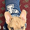 Scrappy Doo Vasquez is registered to the contest to win money with this photo: animal, blue_jersey, carpet, clothing, companion, cute, dog, domestic_animal, ears_up, french_bulldog, friendly, indoor, looking_up, patterned_floor, pet, portrait, short_hair, small_dog, standing, wrinkled_face