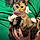 Mittens