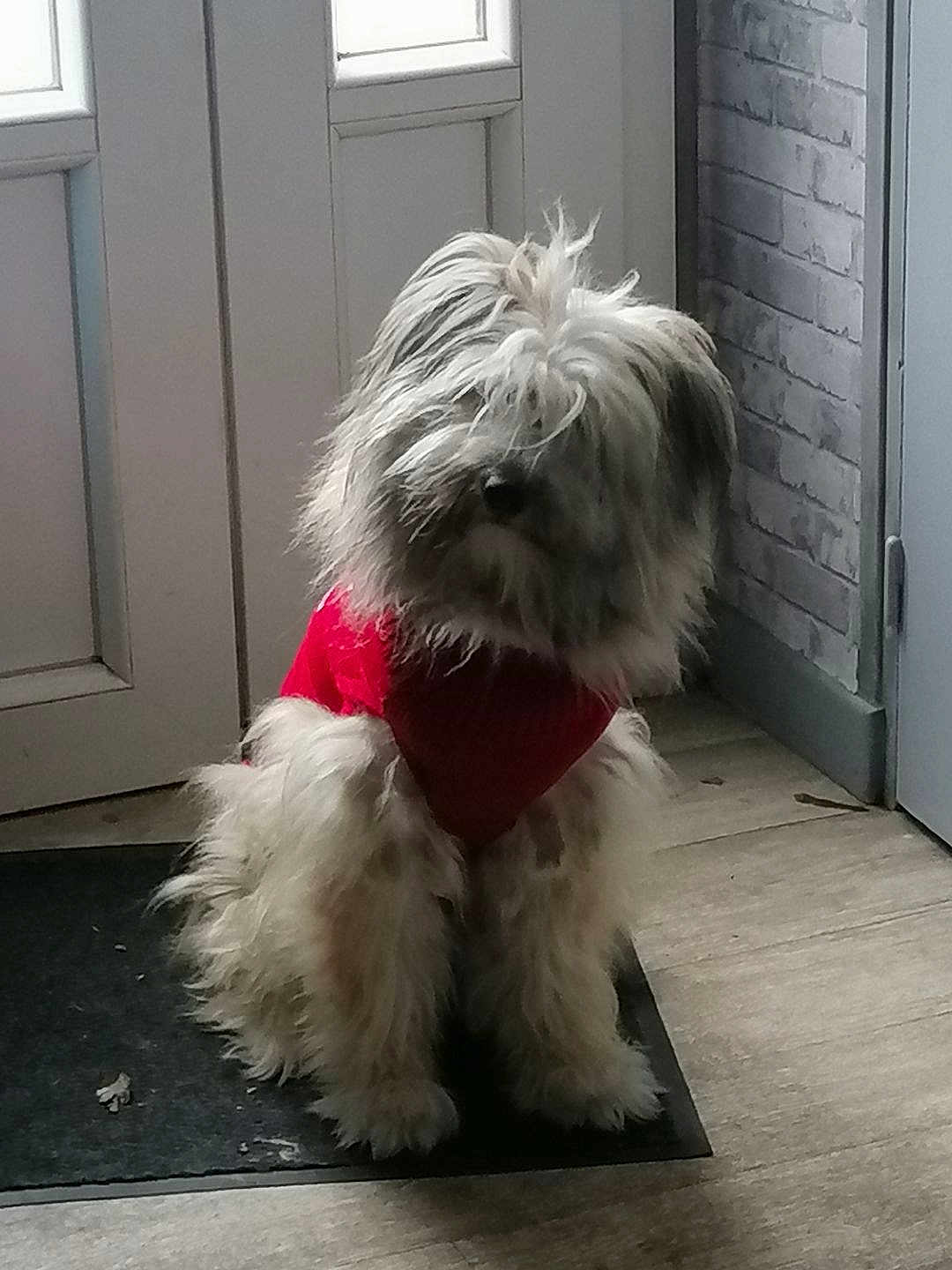 Benji