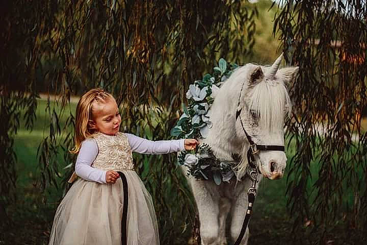 Nova is registered to the contest to win money with this photo: bridle, dress, event, fawn, forest, grass, happy, horse, horse_supplies, horse_tack, livestock, mane, pack_animal, people_in_nature, person, plant, recreation, rein, toddler, tree