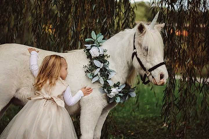 Nova joined the competition — help win amazing prizes! bit, bridal_clothing, bridle, dress, equestrianism, fawn, flash_photography, grass, happy, horse, horse_supplies, horse_tack, landscape, meadow, people_in_nature, person, plant, rein, toddler, tree