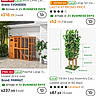 Tinkerbell Tink joined the competition — help win amazing prizes! business_days, cat_house, category, enclosure, filters, greenery, mobile_app, online_shopping, outdoor, pet_furniture, plant, price_tag, product_image, promotion, rating, sale, screenshot, shopping_cart, text_overlay, wooden_structure