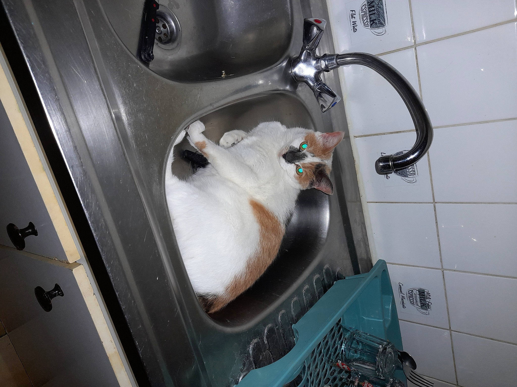 Reine participe au concours pour gagner de l'argent avec cette photo : auto_part, automotive_exterior, bathroom, bathroom_sink, fluid, gas, household_hardware, kitchen_appliance, liquid_hand_soap, machine, pipe, plumbing, plumbing_fitting, plumbing_fixture, sink, tap, titanium, trunk, valve, vehicle_door