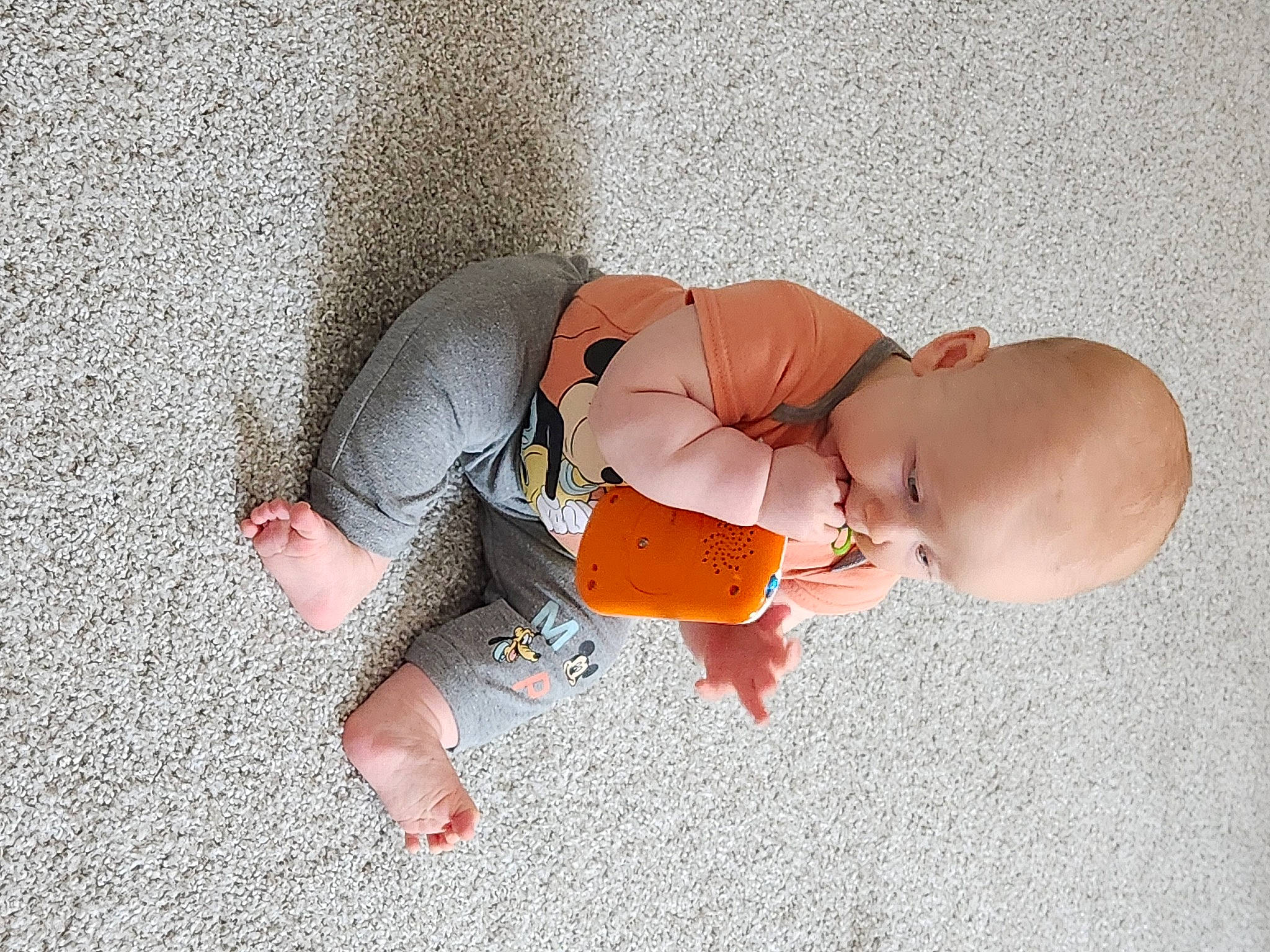 Maximus is registered to the contest to win money with this photo: abdomen, arm, baby, baby_products, chest, child, comfort, elbow, finger, flooring, foot, human_body, human_leg, knee, leg, navel, person, stomach, thigh, toddler