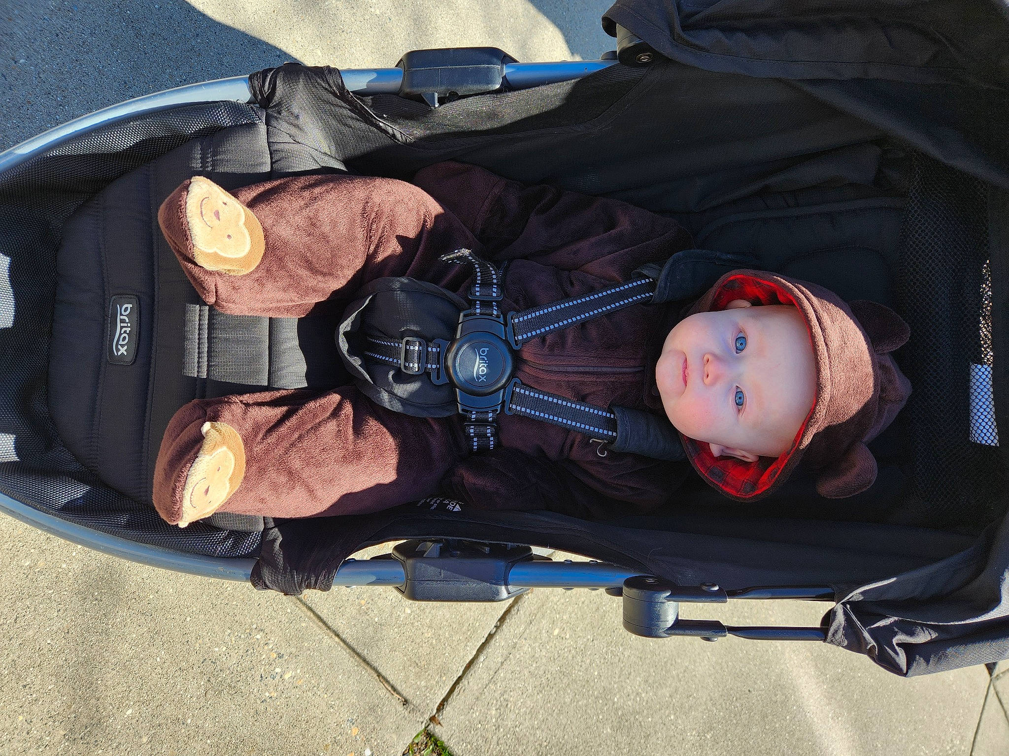 Maximus joined the competition — help win amazing prizes! auto_part, automotive_exterior, automotive_lighting, baby, baby_carriage, baby_products, bag, baggage, bumper, carmine, child, hat, headgear, headwear, luggage_and_bags, luxury_vehicle, person, personal_protective_equipment, recreation, toddler