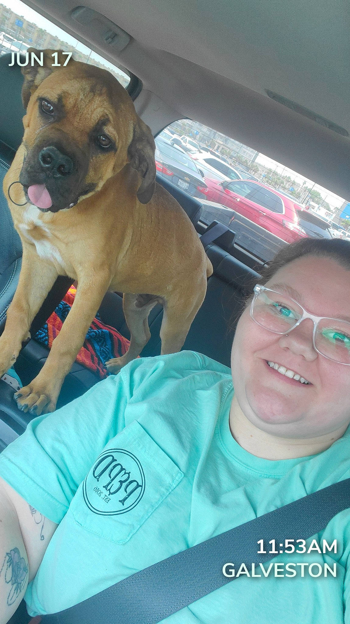 Titus joined the competition — help win amazing prizes! canidae, carnivore, collar, companion_dog, dog, dog_breed, dog_collar, dog_supply, electric_blue, eyewear, fawn, glasses, hat, paw, pet_supply, selfie, smile, snout, sporting_group, t_shirt