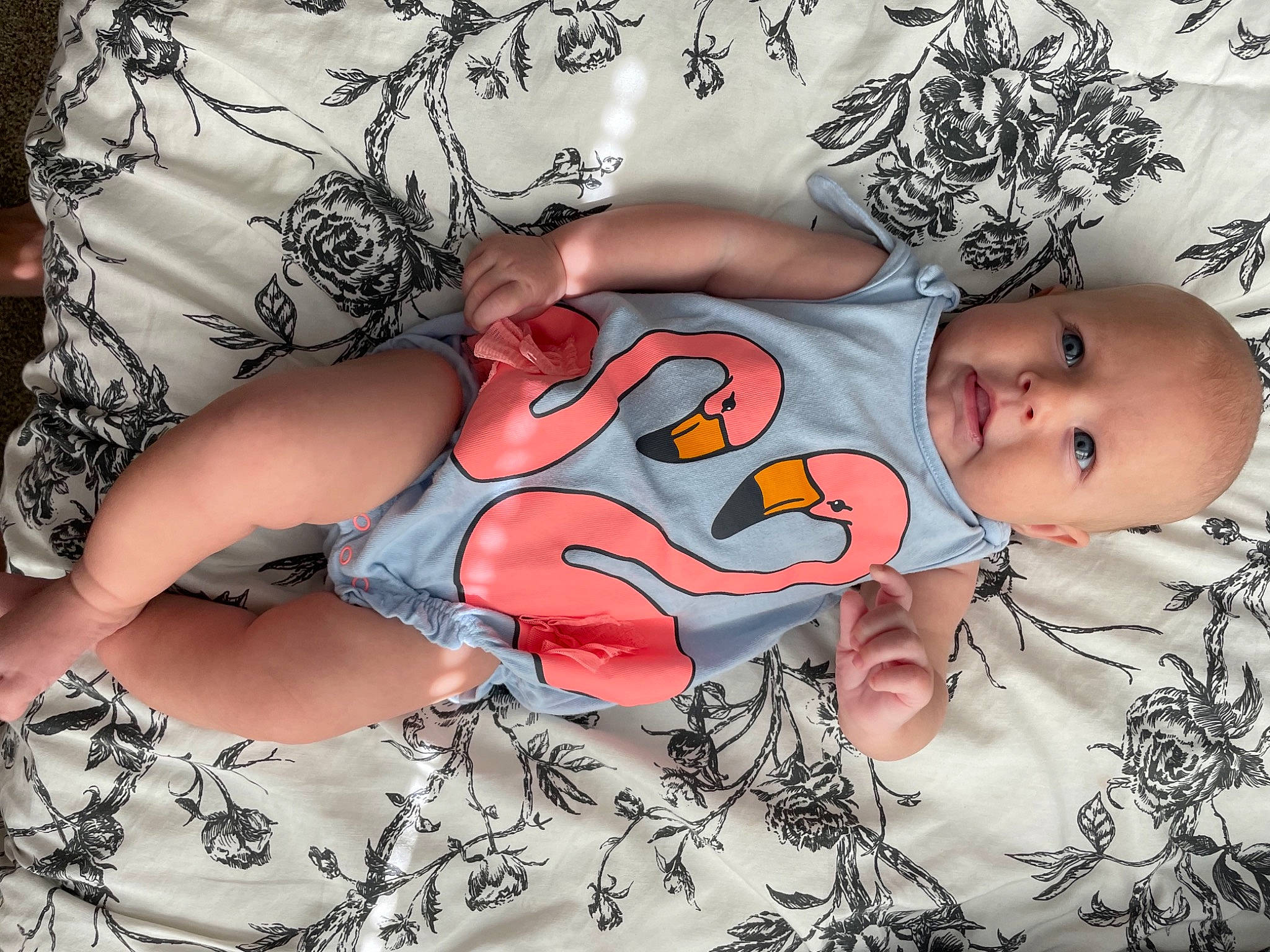 Charley is registered to the contest to win money with this photo: baby, baby_sleeping, baby_toddler_clothing, chest, comfort, elbow, finger, hand, human_body, leg, linens, mouth, muscle, organ, pattern, person, sleeve, textile, thigh, toddler