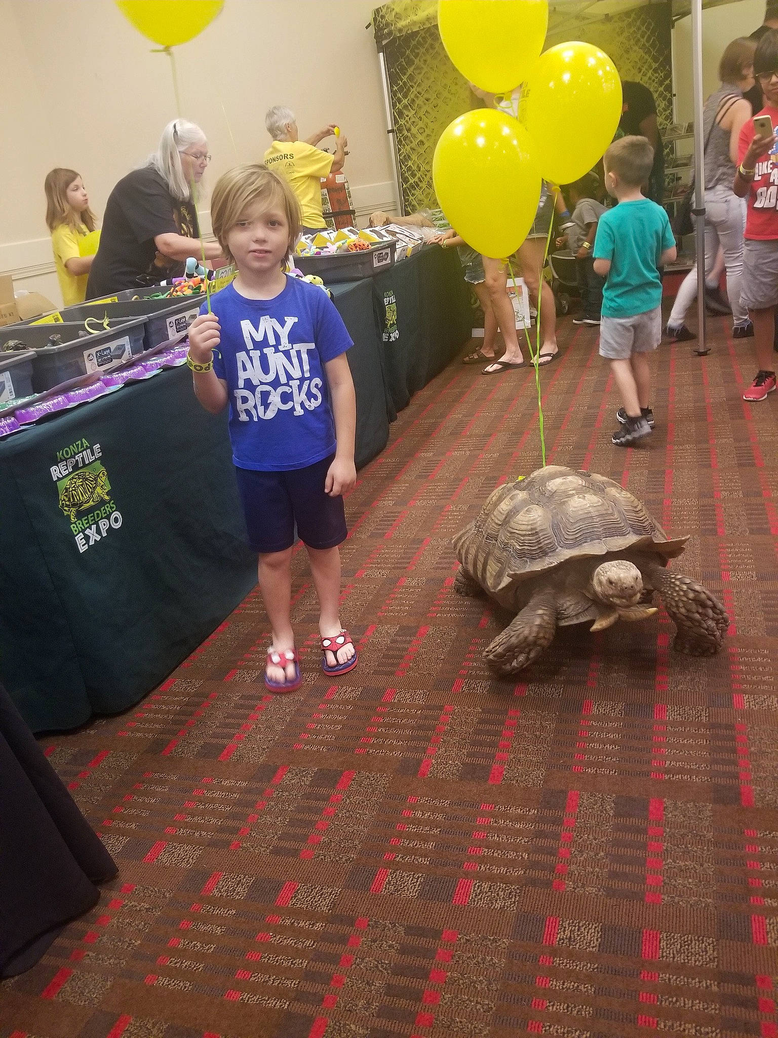 Cylus joined the competition — help win amazing prizes! adaptation, balloon, child, floor, flooring, party, party_supply, person, reptile, tortoise, turtle, world