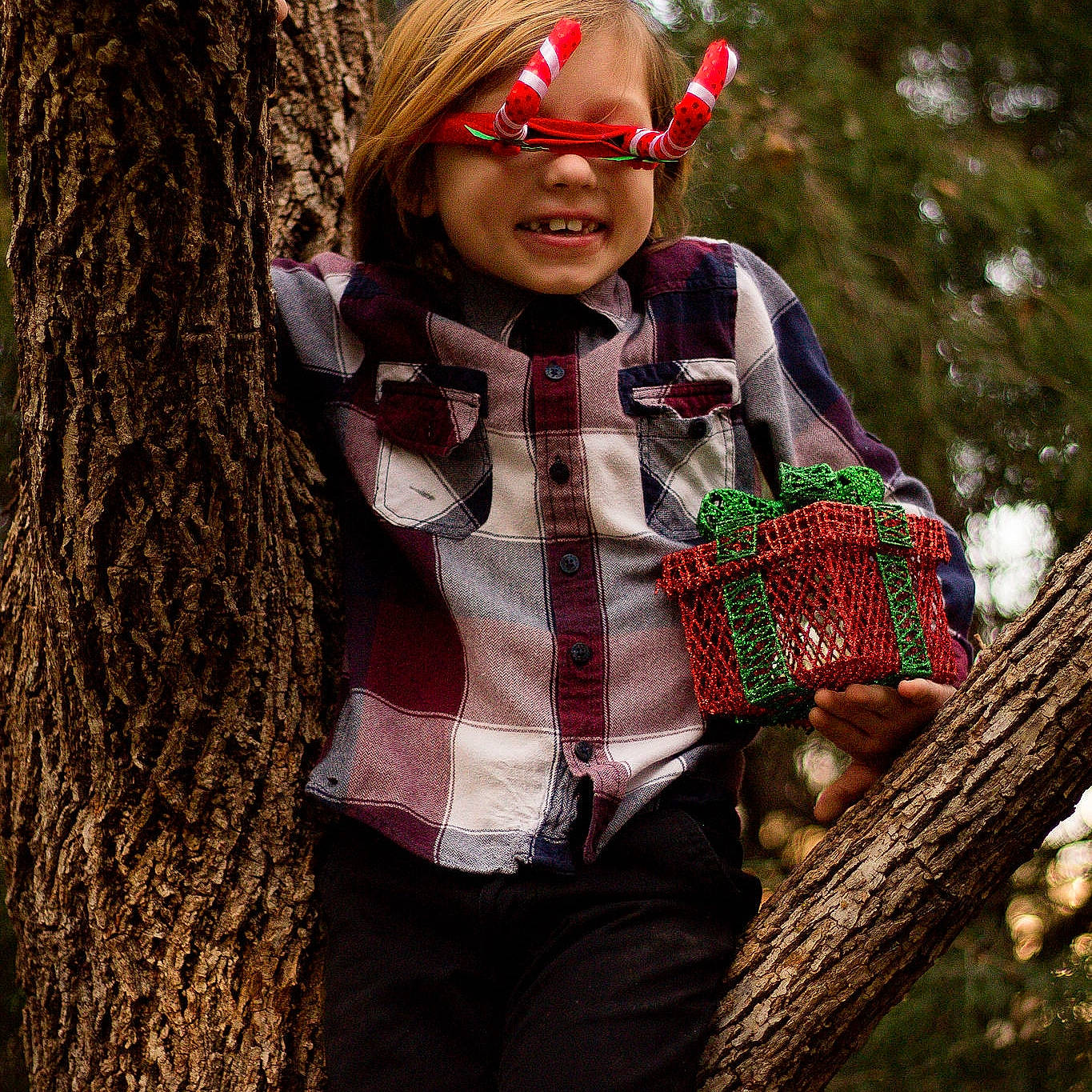 Cylus is registered to the contest to win money with this photo: child, eyewear, forest, fun, glasses, happy, lady, person, photo_shoot, photography, plant, smile, style, tree, wood