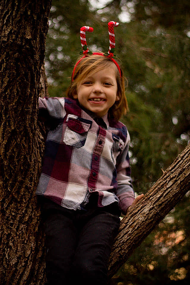 Cylus is registered to the contest to win money with this photo: branch, child, child_model, fawn, forest, fun, happy, joy, leaf, people, people_in_nature, person, photography, plant, portrait_photography, shortstraw_pine, smile, toddler, tree, wood