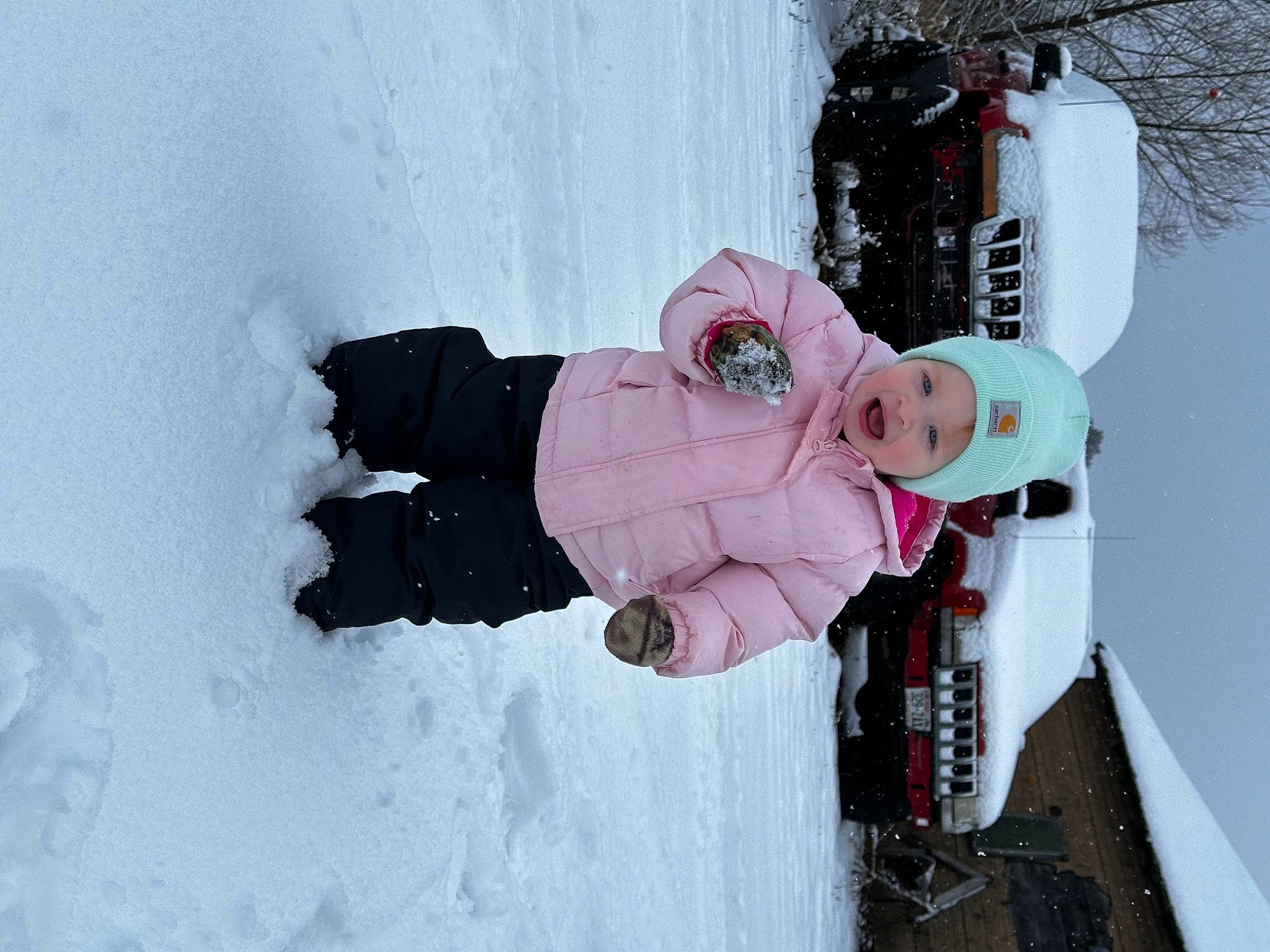 Wrenley is registered to the contest to win money with this photo: carmine, event, freezing, fun, headwear, jacket, person, precipitation, recreation, slope, snow, toddler, tree, window, winter, winter_storm