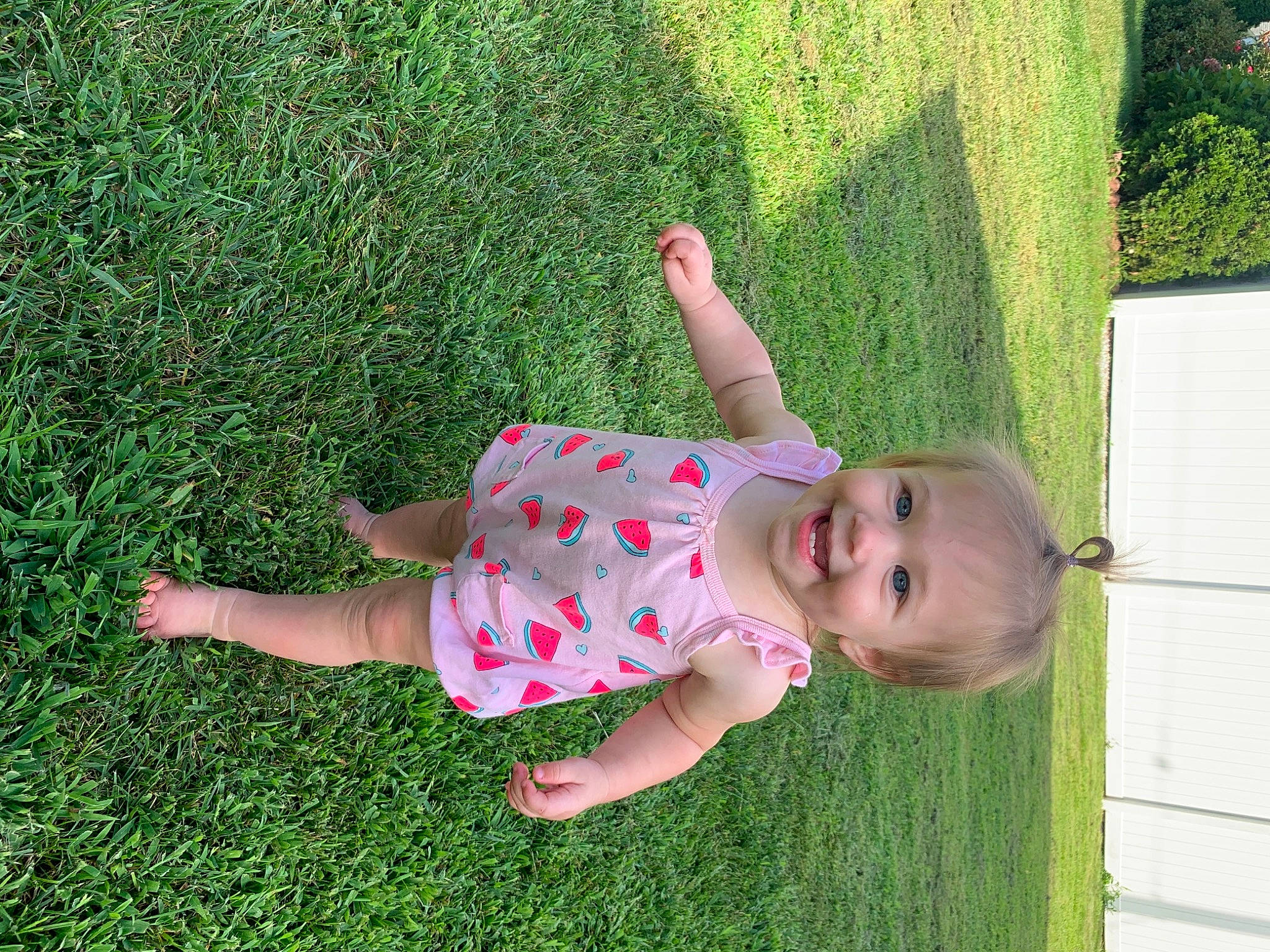 Savannah joined the competition — help win amazing prizes! baby, baby_toddler_clothing, dress, fun, grass, grass_family, grassland, green, groundcover, happy, joy, lawn, leaf, leisure, pattern, people_in_nature, person, plant, shrub, smile