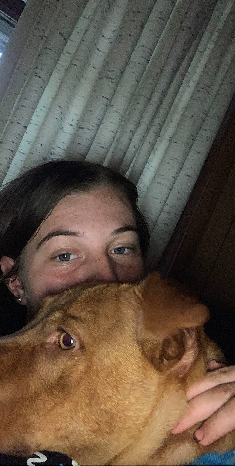 Bella joined the competition — help win amazing prizes! canidae, dog_breed, ear, eye, eyebrow, face, fawn, forehead, head, jaw, mouth, neck, nose, organ, photography, selfie, skin, snout, sporting_group, weimaraner