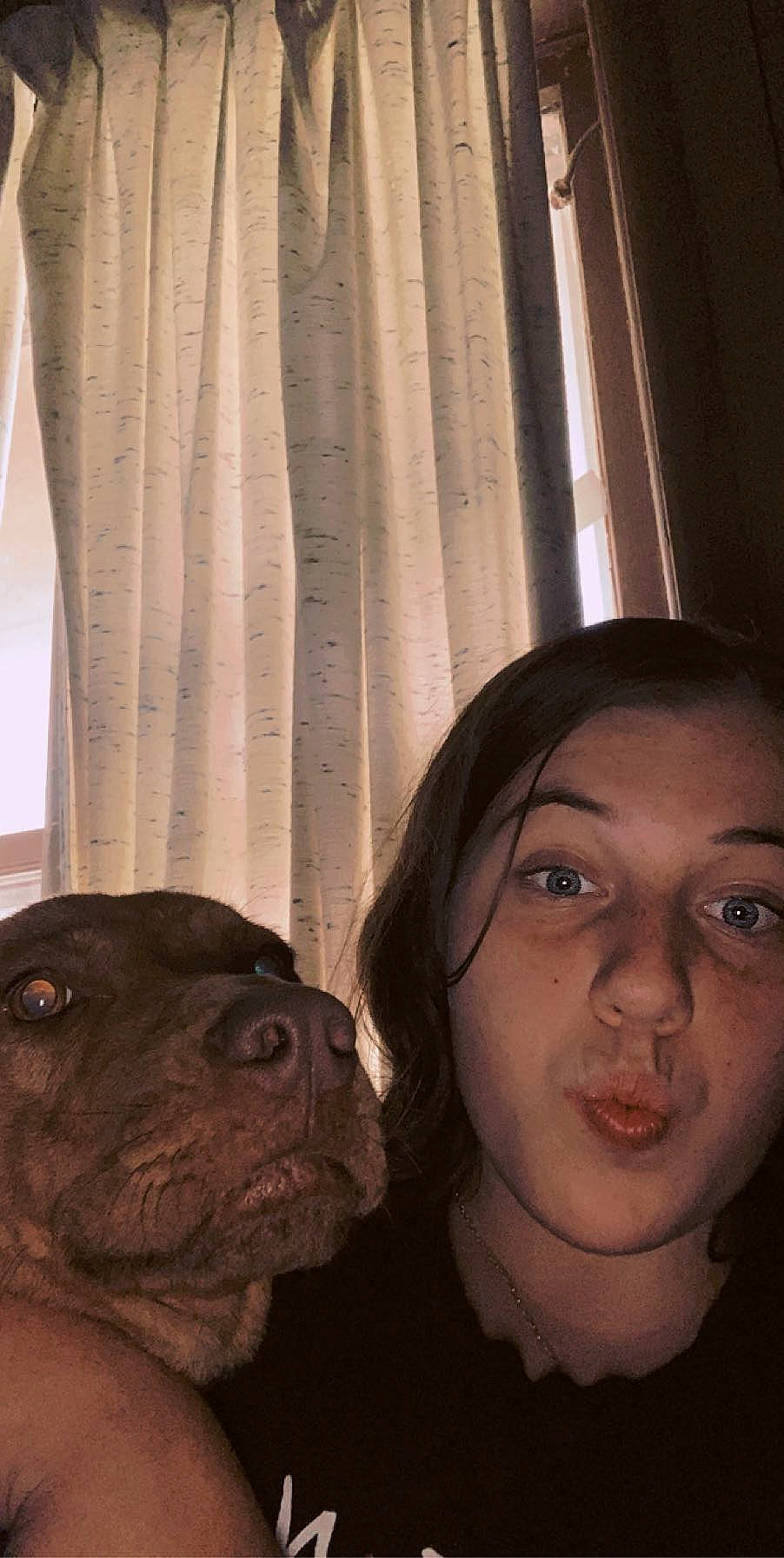 Bella joined the competition — help win amazing prizes! canidae, cheek, chin, dog, ear, eye, face, fawn, head, non_sporting_group, nose, photography, pit_bull, selfie, skin, smile, snout, sporting_group, wrinkle