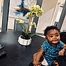 baby, child, polka_dot_shirt, blue_shirt, diaper, black_table, potted_plant, orchids, indoor, home, modern_decor, abstract_painting, chair, curly_hair, person, holding, smiling, foot, hand, table