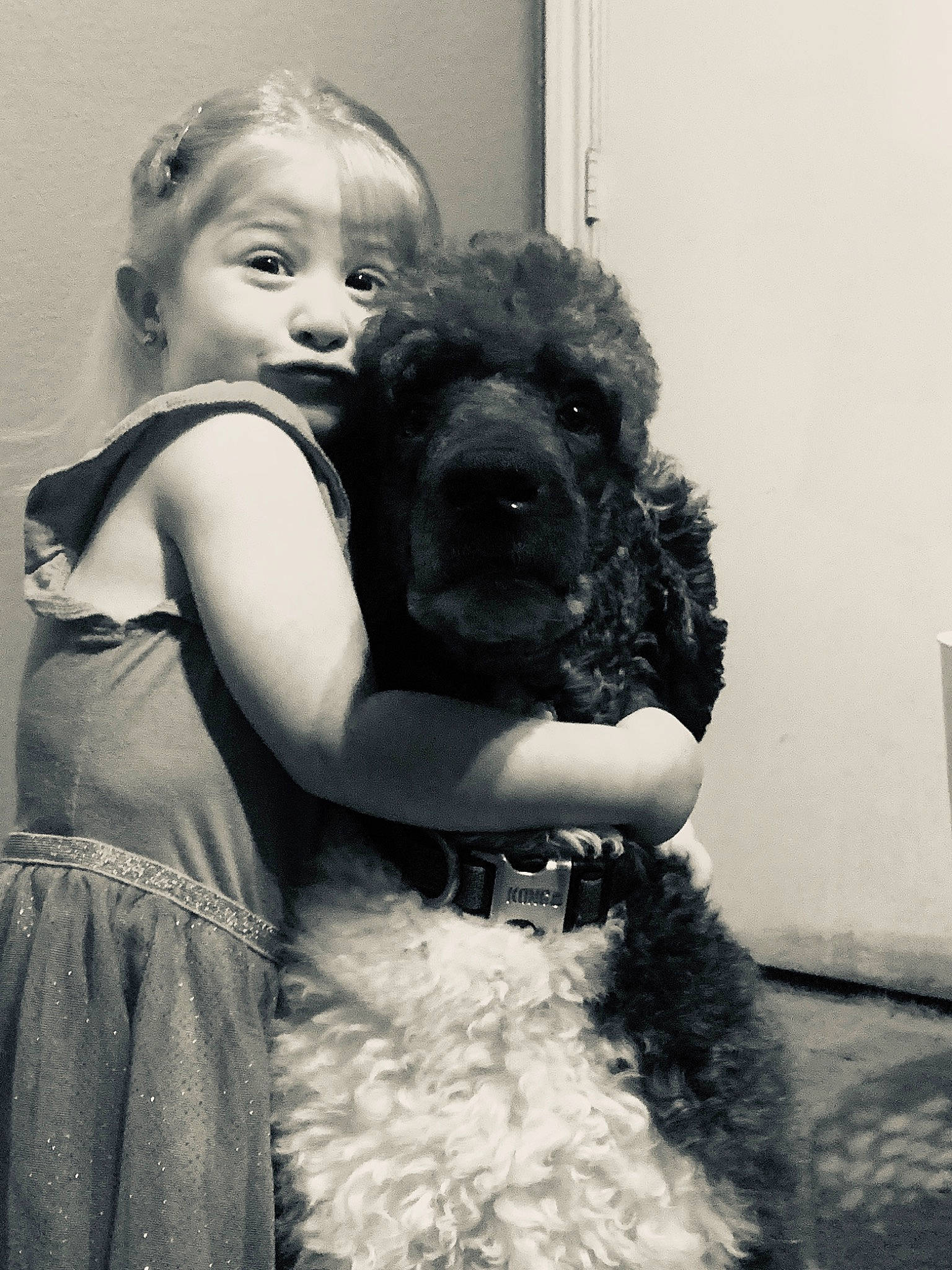 Adelaide joined the competition — help win amazing prizes! american_cocker_spaniel, black, black_and_white, canidae, carnivore, cockapoo, companion_dog, dog, dog_breed, english_cocker_spaniel, fur, labradoodle, mammal, non_sporting_group, person, photograph, photography, poodle, snapshot, sporting_group