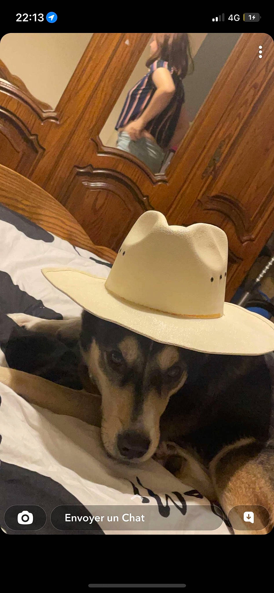 Bella participe au concours pour gagner de l'argent avec cette photo : canidae, cap, carnivore, comfort, companion_dog, cowboy_hat, dog, dog_breed, fashion_accessory, fawn, fedora, flooring, fur, hardwood, hat, snout, sporting_group, sun_hat, wood, working_animal