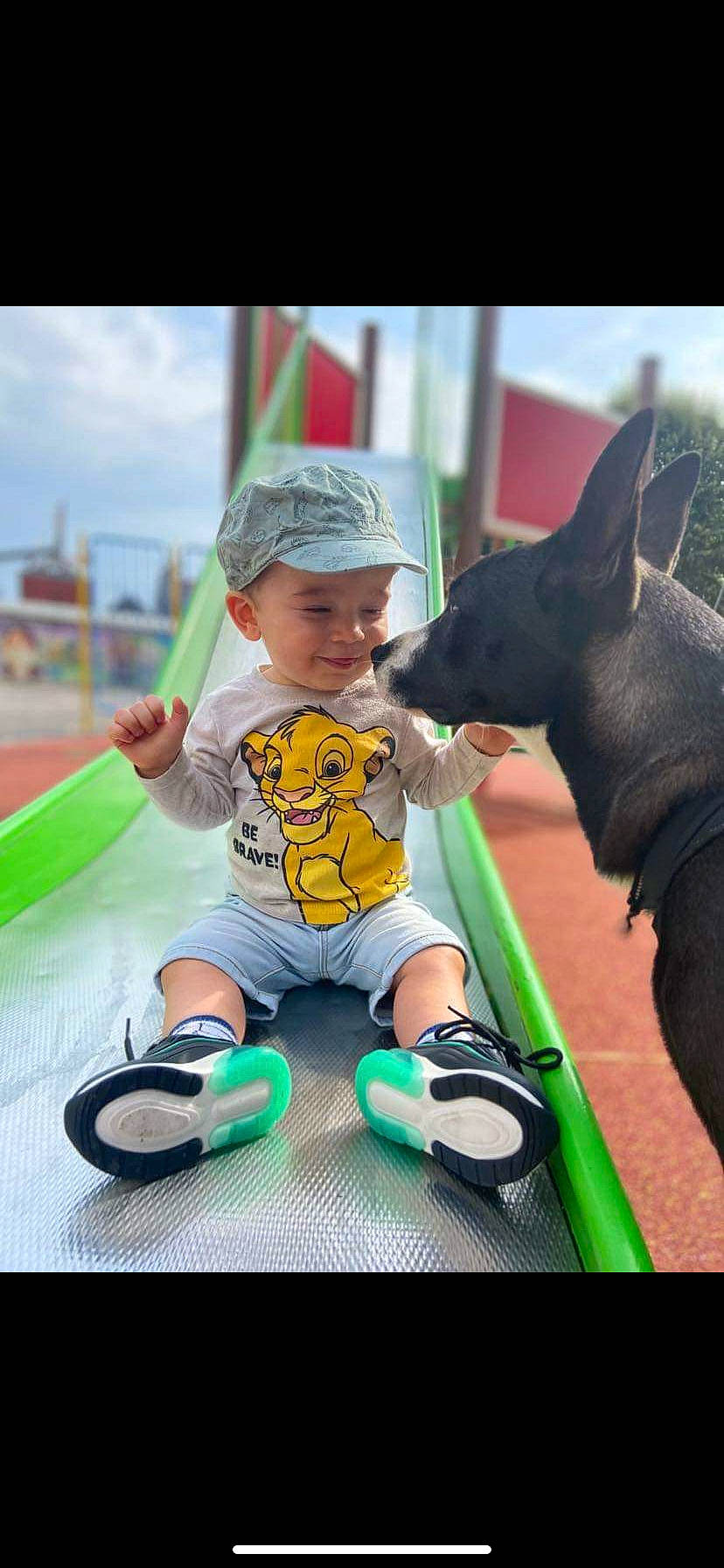 Lissandro a rejoint le concours — aidez-le/la à gagner de superbes lots ! animal_sports, baseball_cap, cap, carnivore, companion_dog, dog, dog_breed, dog_sports, fun, grass, happy, hat, headwear, leisure, outdoor_play_equipment, person, recreation, shorts, sky, sporting_group