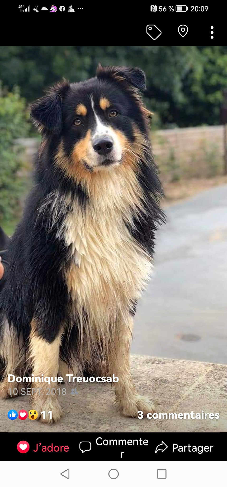 Nexan De La Route De Memphis