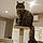 Pollux