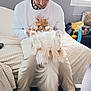 animal, baby_toy, blanket, casual, cat, comfort, couch, feline, fluffy_cat, hair, home, indoor, man, pants, pet, relaxing, shirt, sitting, toy, window