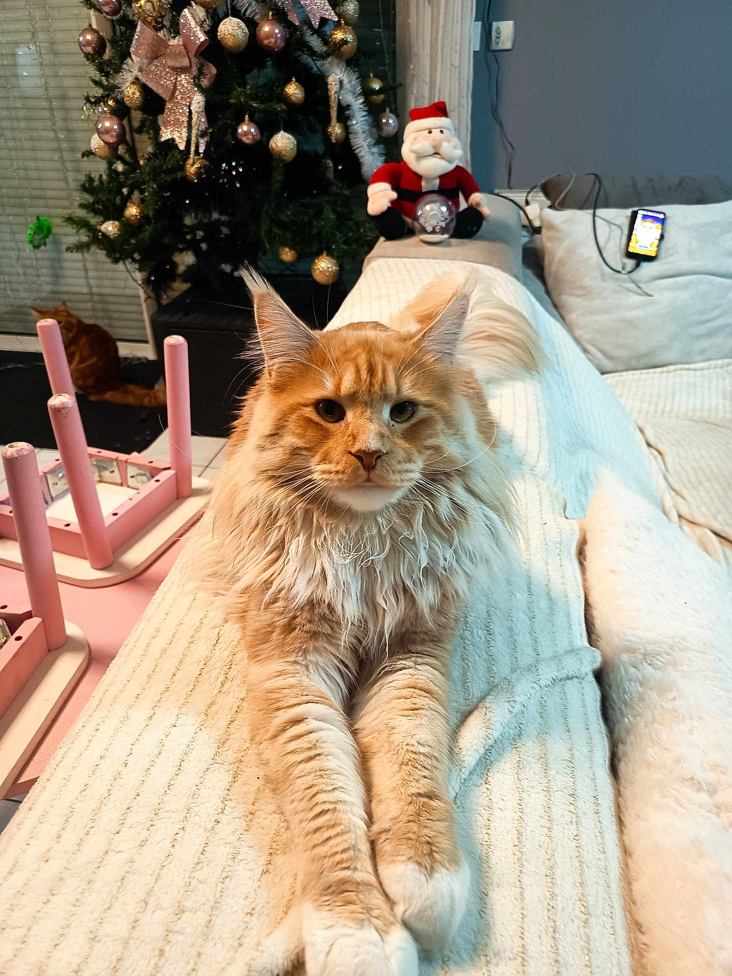 Ozzy a rejoint le concours — aidez-le/la à gagner de superbes lots ! cat, orange_cat, fluffy_cat, christmas_tree, ornaments, plush_toy, santa_claus, couch, blanket, indoors, holiday_decor, furniture, cozy, pet, relaxed, living_room, decorations, toy, home, animal