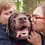 affection, brown_fur, chocolate_lab, close_up, collar, couple, dog, forest, glasses, hands, happy, kiss, love, nature, outdoor, person, portrait, smiling, sweater, tongue_out