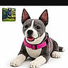 stuffed_animal, dog_toy, pink_harness, white_background, small_inset_photo, real_dog, grass, toy, pet_accessory, product_photo, website_watermark, animal_figure, fake_dog, dog_figure, close_up, lying_down, ears_up, realistic_toy, mockup, isolated