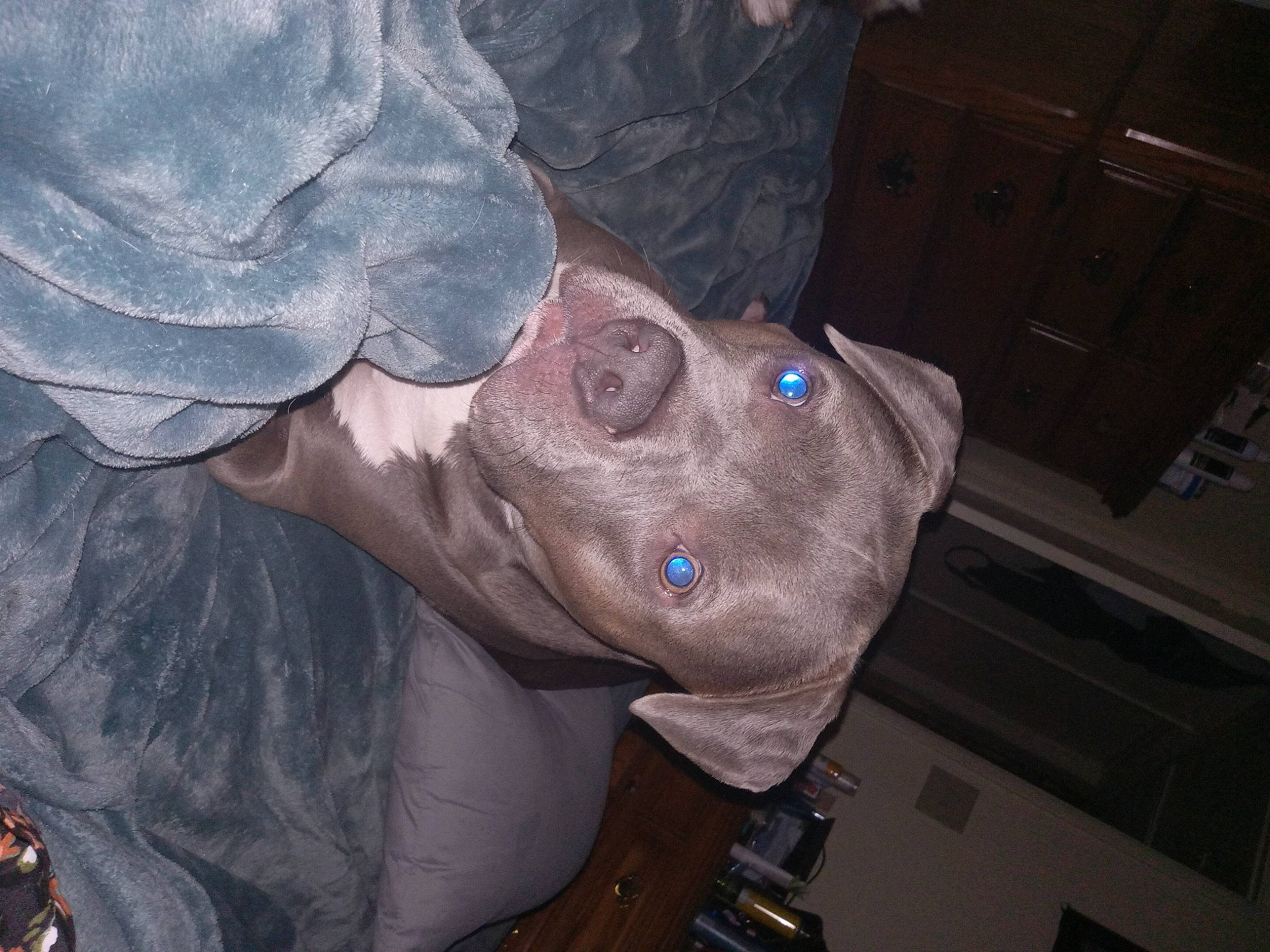 Stanky is registered to the contest to win money with this photo: art, auto_part, cabinetry, electric_blue, finger, flesh, fun, gesture, hat, headgear, jaw, pattern, personal_protective_equipment, sleeve, thumb, wrinkle, wrist