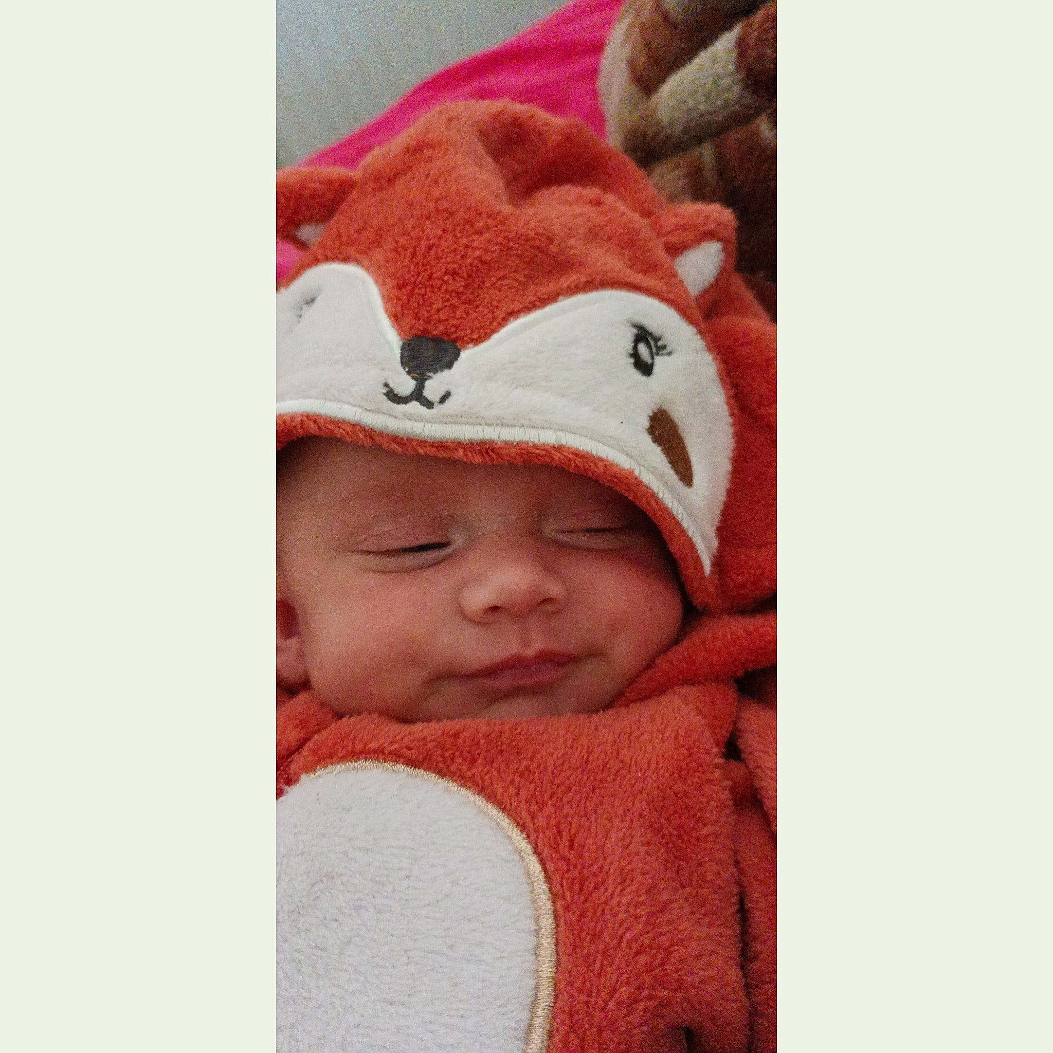 Assia participe au concours pour gagner de l'argent avec cette photo : baby, baby_products, baby_sleeping, baby_toddler_clothing, beanie, cap, cheek, child, comfort, cool, fur, happy, headgear, headwear, knit_cap, linens, mouth, nose, outerwear, person