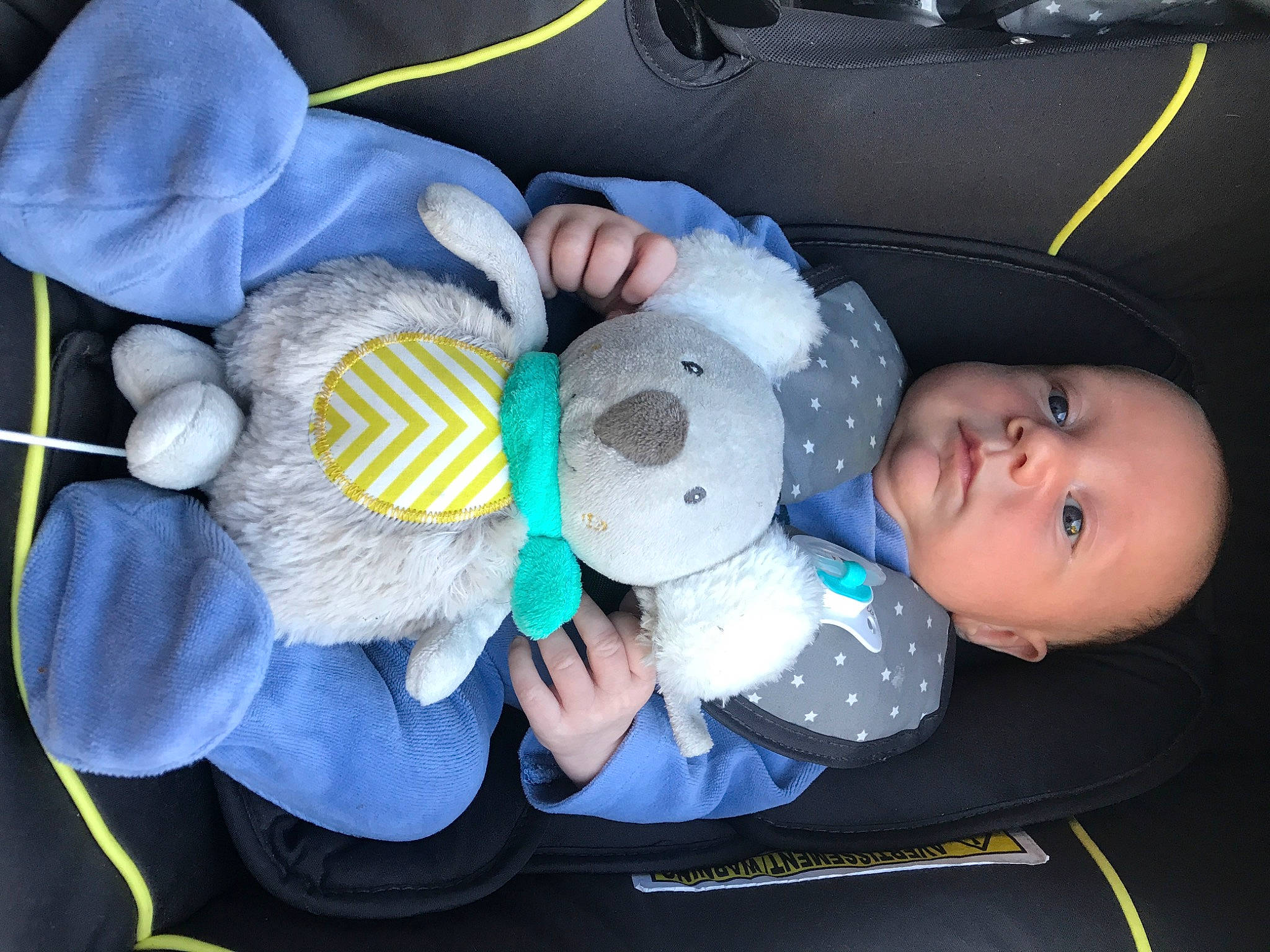 Enzo a rejoint le concours — aidez-le/la à gagner de superbes lots ! baby, baby_products, baby_toys, child, ear, person, play, plush, product, room, stuffed_toy, toddler, toy