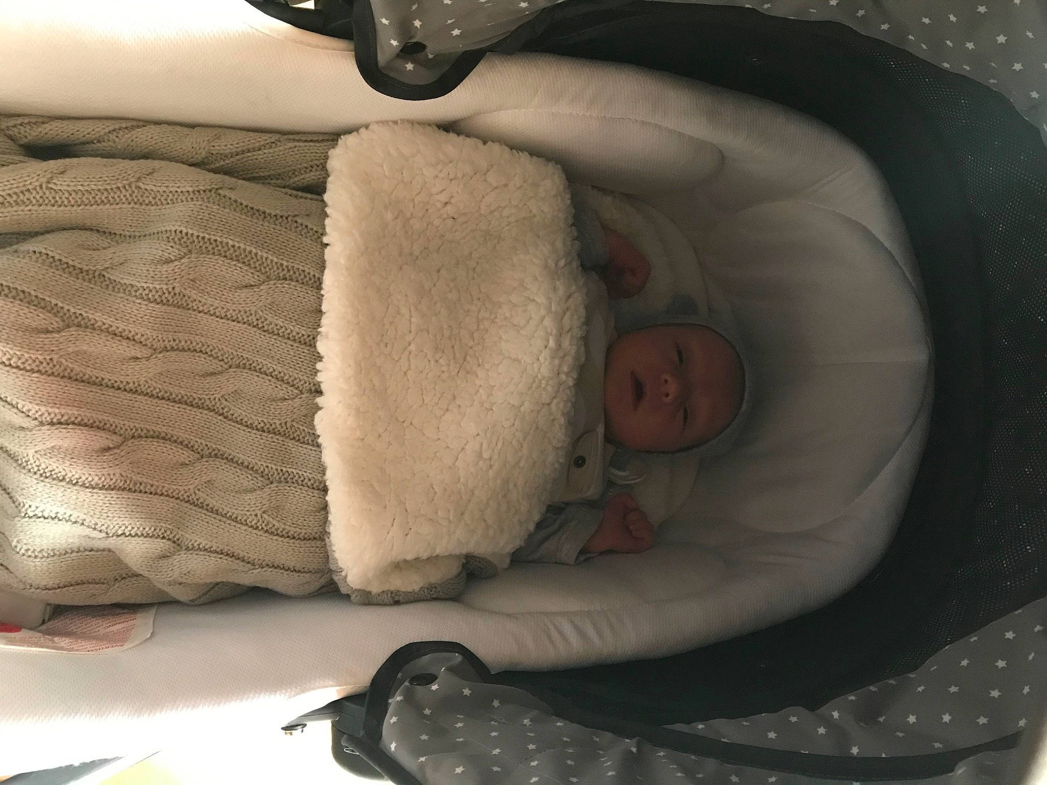 Enzo a rejoint le concours — aidez-le/la à gagner de superbes lots ! auto_part, car_seat, fur, headwear, person, under_exposed