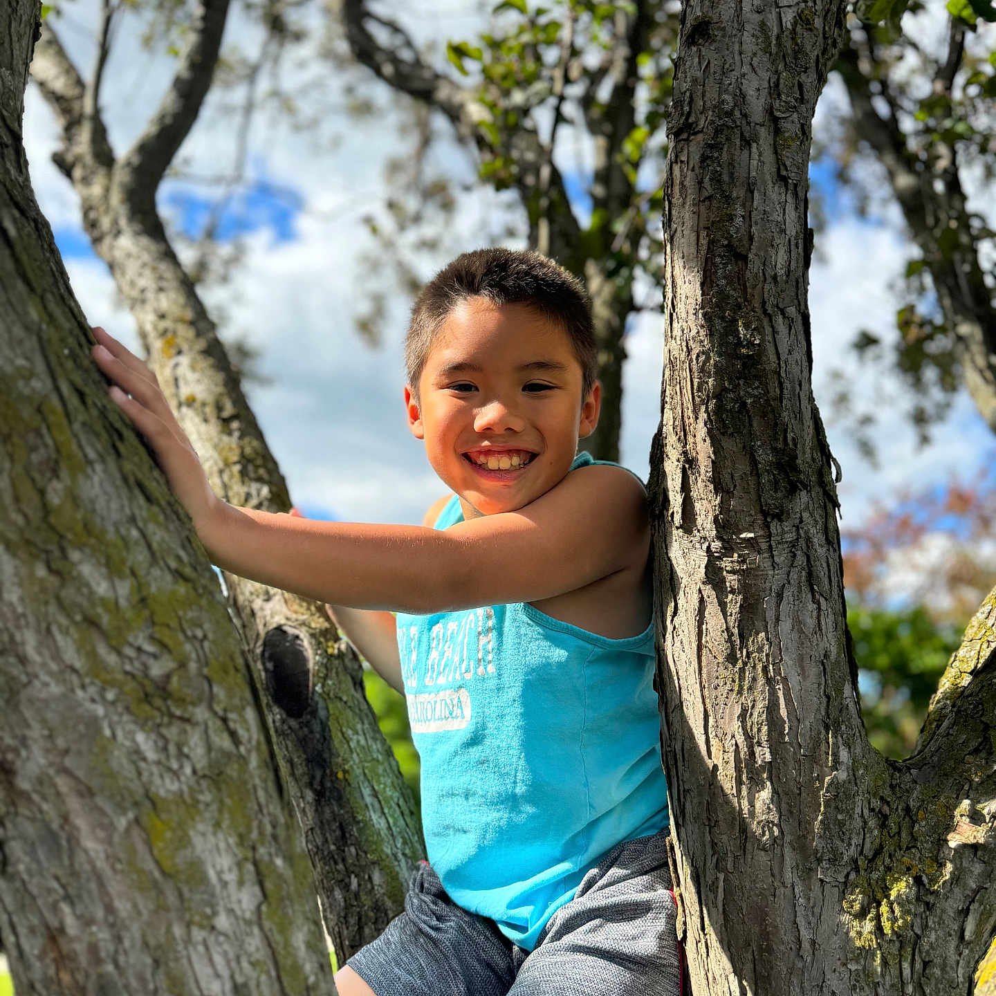 Grayson is registered to the contest to win money with this photo: boy, child, clothing, face, happy, head, hiding, laughing, male, outdoors, person, photography, plant, portrait, shorts, sitting, smile, tree, treetrunk, vegetation