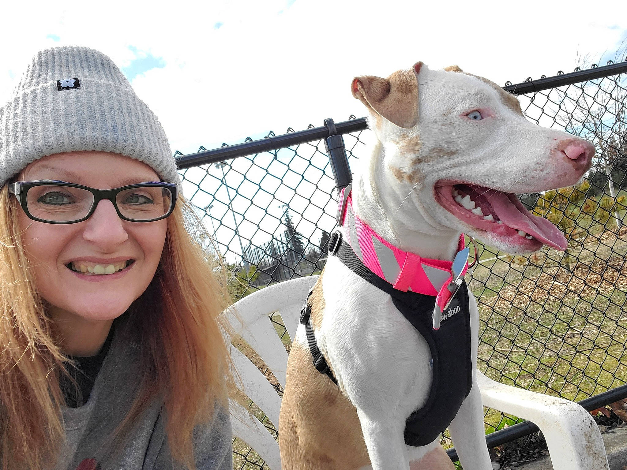 Toky joined the competition — help win amazing prizes! cap, carnivore, cloud, collar, companion_dog, dog, dog_breed, dog_collar, eyewear, fashion_accessory, fawn, fence, glasses, happy, pet_supply, sky, smile, snout, vertebrate, working_animal