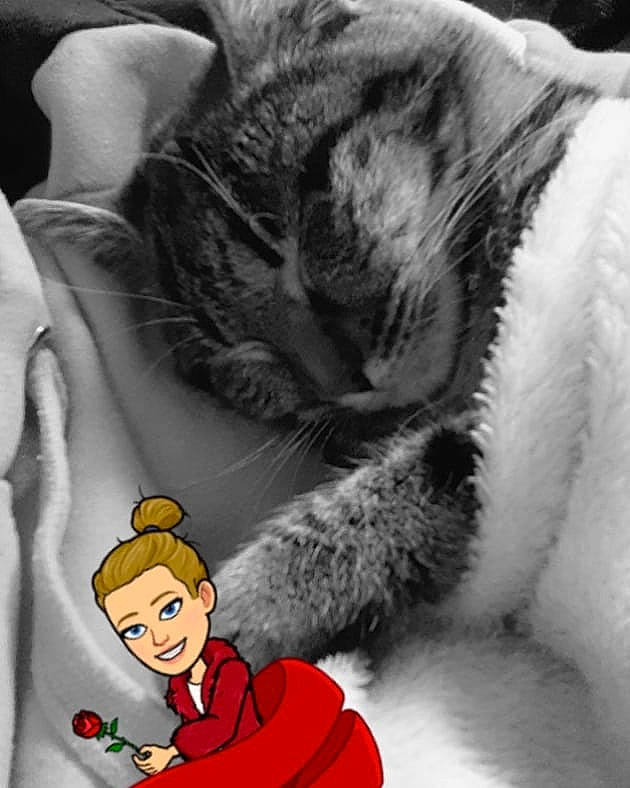 Cana participe au concours pour gagner de l'argent avec cette photo : black_and_white, cartoon, cat, felidae, fur, illustration, nap, paw, polydactyl_cat, sleep, small_to_medium_sized_cats, snout, whiskers