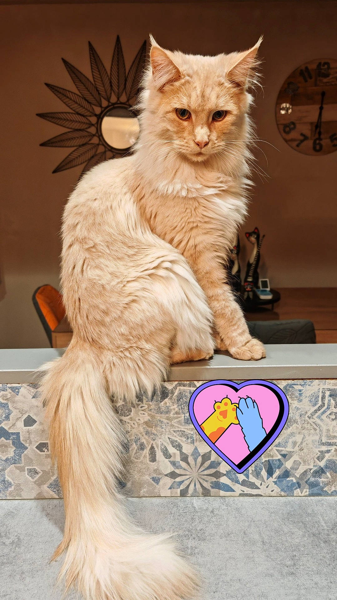 animal, cat, clock, cream_colored, cute, decor, feline, fluffy, furniture, heart_shape, indoor, ledge, long_tail, mirror, pet, playful, sitting, sticker, sunburst_mirror, tail