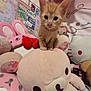 kitten, cat, plush_toy, stuffed_animal, pink, orange, cute, soft, toy, indoor, poster, wall, childlike, animal, small, feline, ears, whiskers, face, cuddly