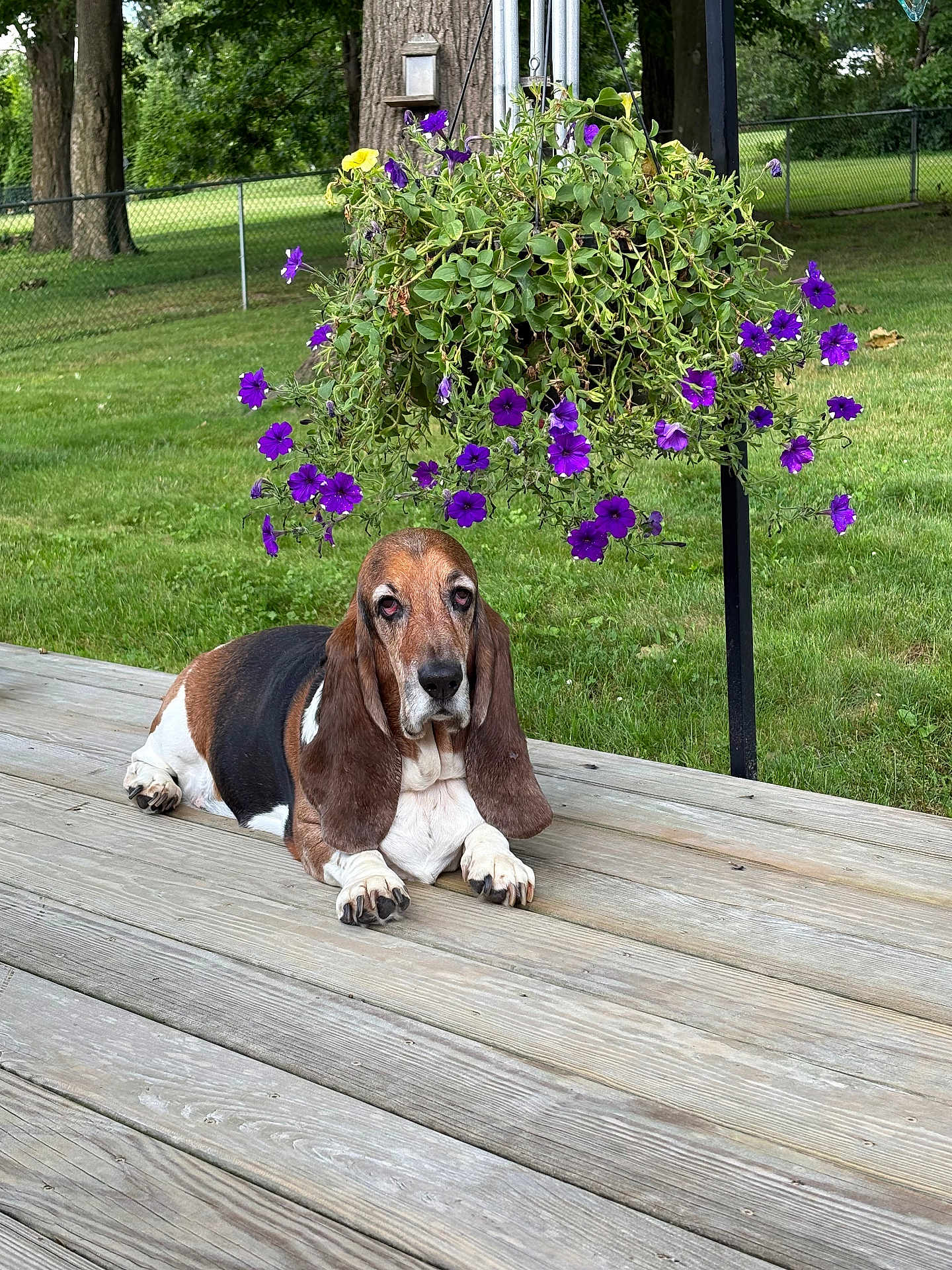 Rosco