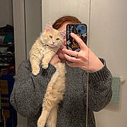 Nemo joined the competition — help win amazing prizes! cat, person, selfie, mirror, phone, sweater, indoor, fluffy, cream_colored, hand, long_hair, feline, cute, pet, cozy, casual, reflection, holding, portrait, young_adult