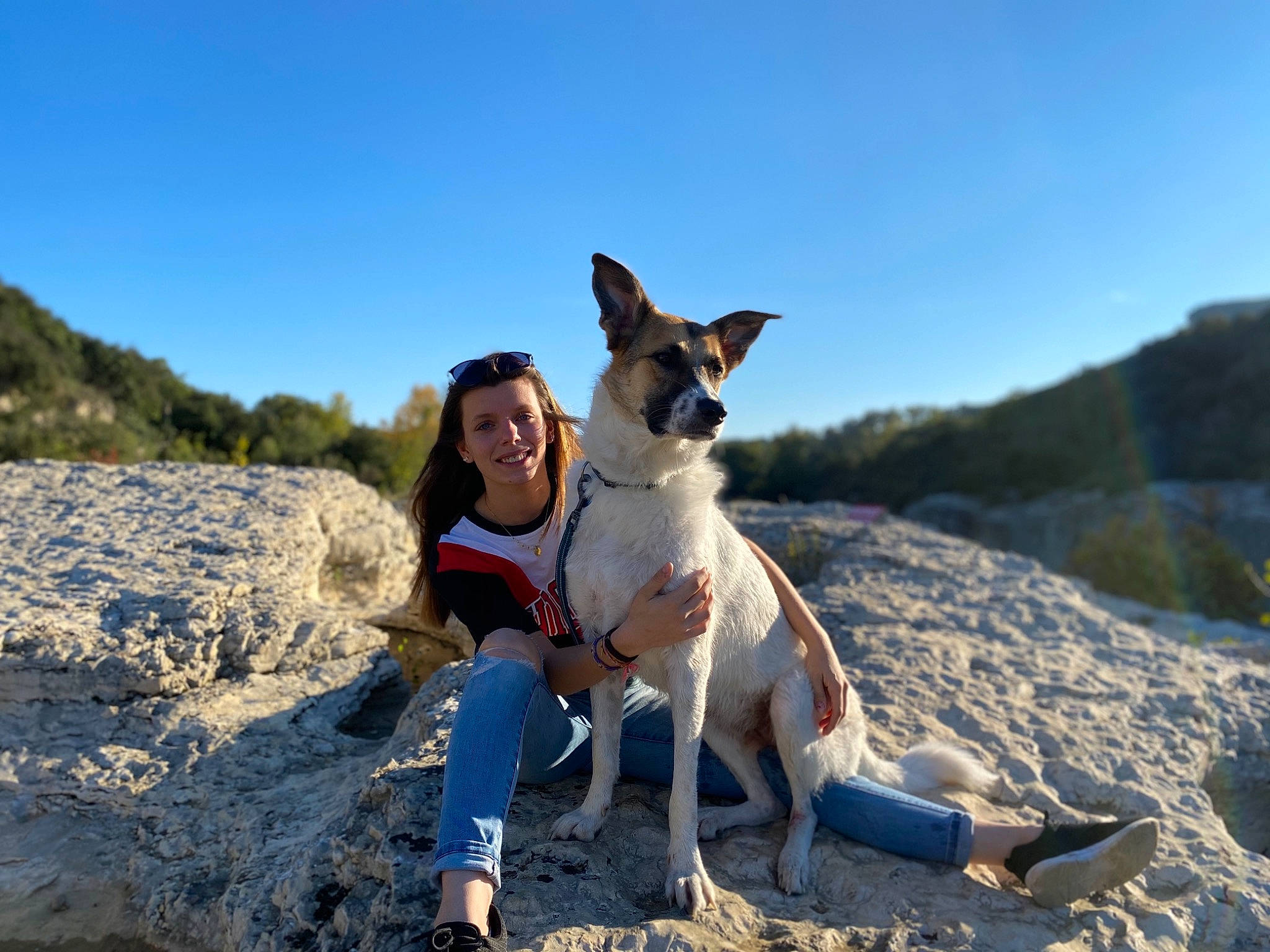 Jumbo a rejoint le concours — aidez-le/la à gagner de superbes lots ! adventure, canidae, carnivore, collar, dog, dog_breed, dog_hiking, fawn, foot, sand, sitting, sporting_group, summer, sunglasses, sweater, vacation, vertebrate, working_animal