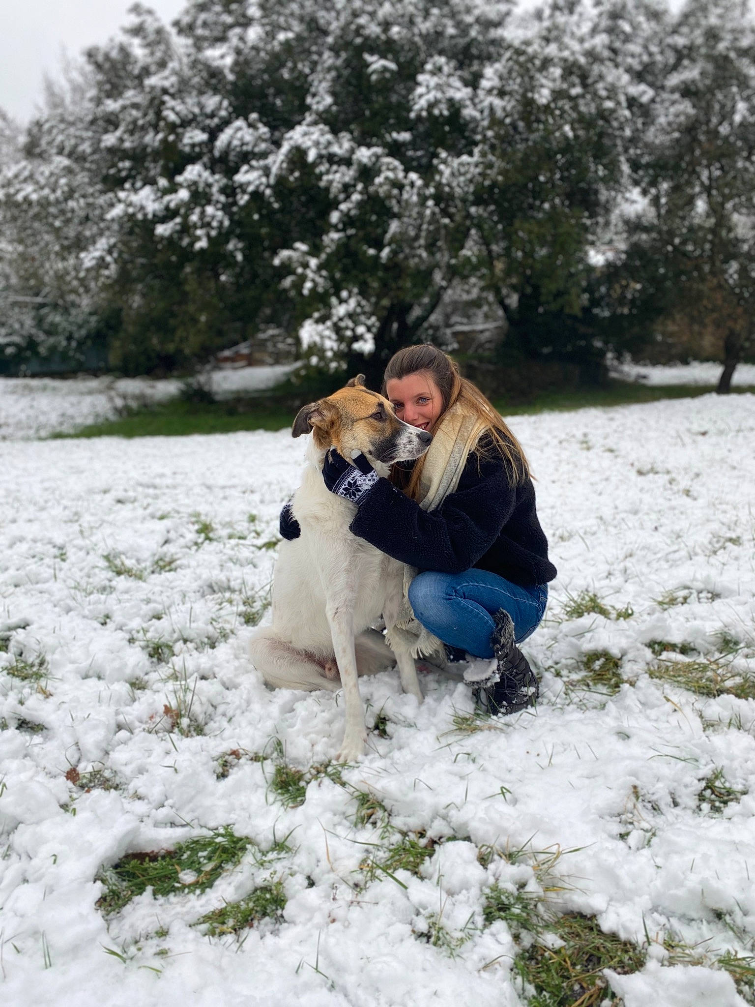 Jumbo a rejoint le concours — aidez-le/la à gagner de superbes lots ! canidae, carnivore, companion_dog, dog, dog_breed, fawn, freezing, fur, human, hunting_dog, jeans, love, mammal, people_in_nature, playing_in_the_snow, snow, sporting_group, vertebrate, winter, working_dog