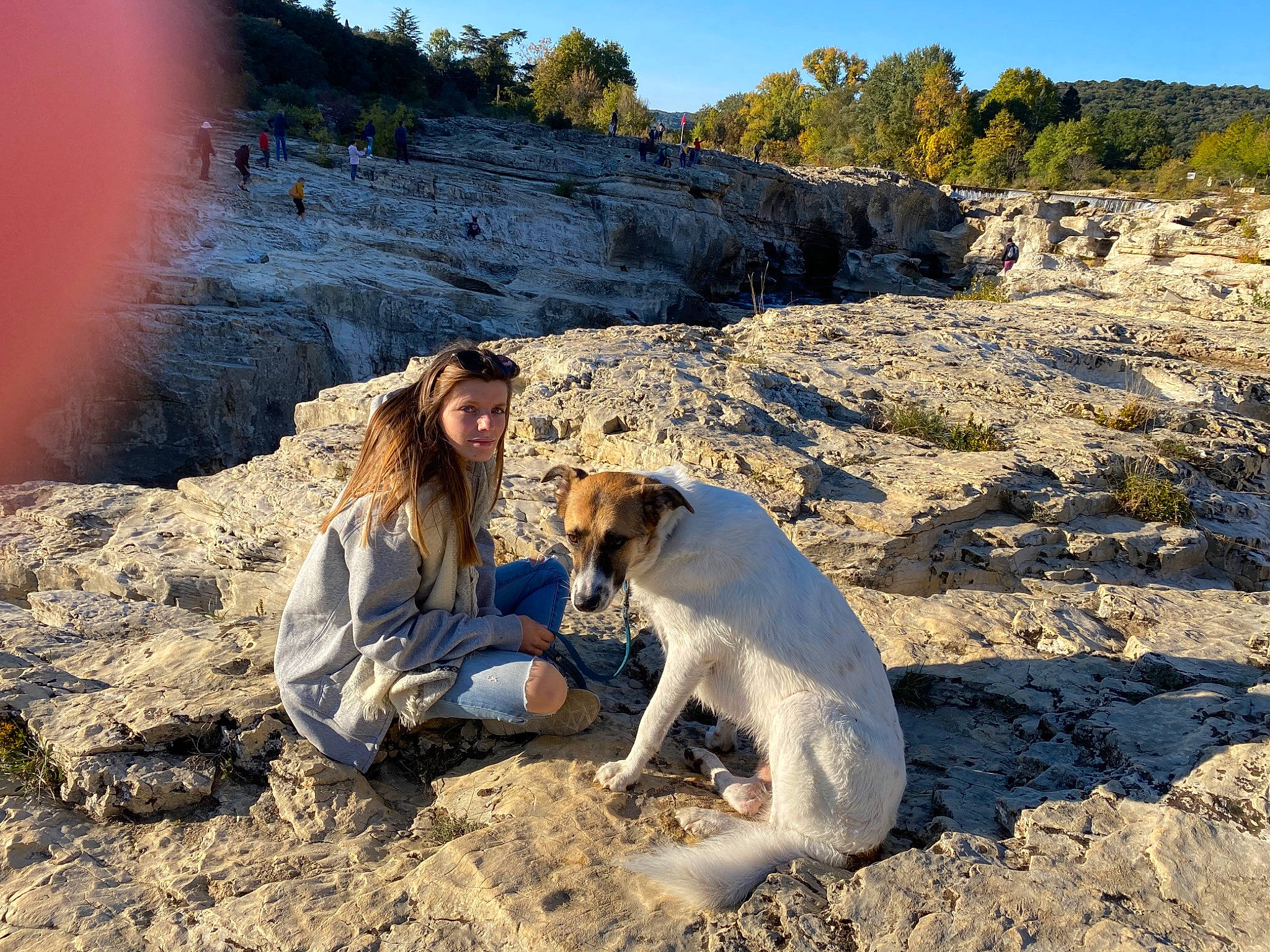 Jumbo a rejoint le concours — aidez-le/la à gagner de superbes lots ! adventure, badlands, bedrock, boot, canidae, carnivore, companion_dog, dog, dog_breed, fawn, gun_dog, mammal, outcrop, sand, sporting_group, terrain