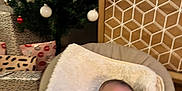 Hedy participe au concours pour gagner de l'argent avec cette photo : baby, smile, chair, blanket, christmas_tree, ornaments, presents, holiday, decorations, cushion, wood_floor, patterned_wall, indoor, person, infant, happy, blur, clothing, festive, cozy