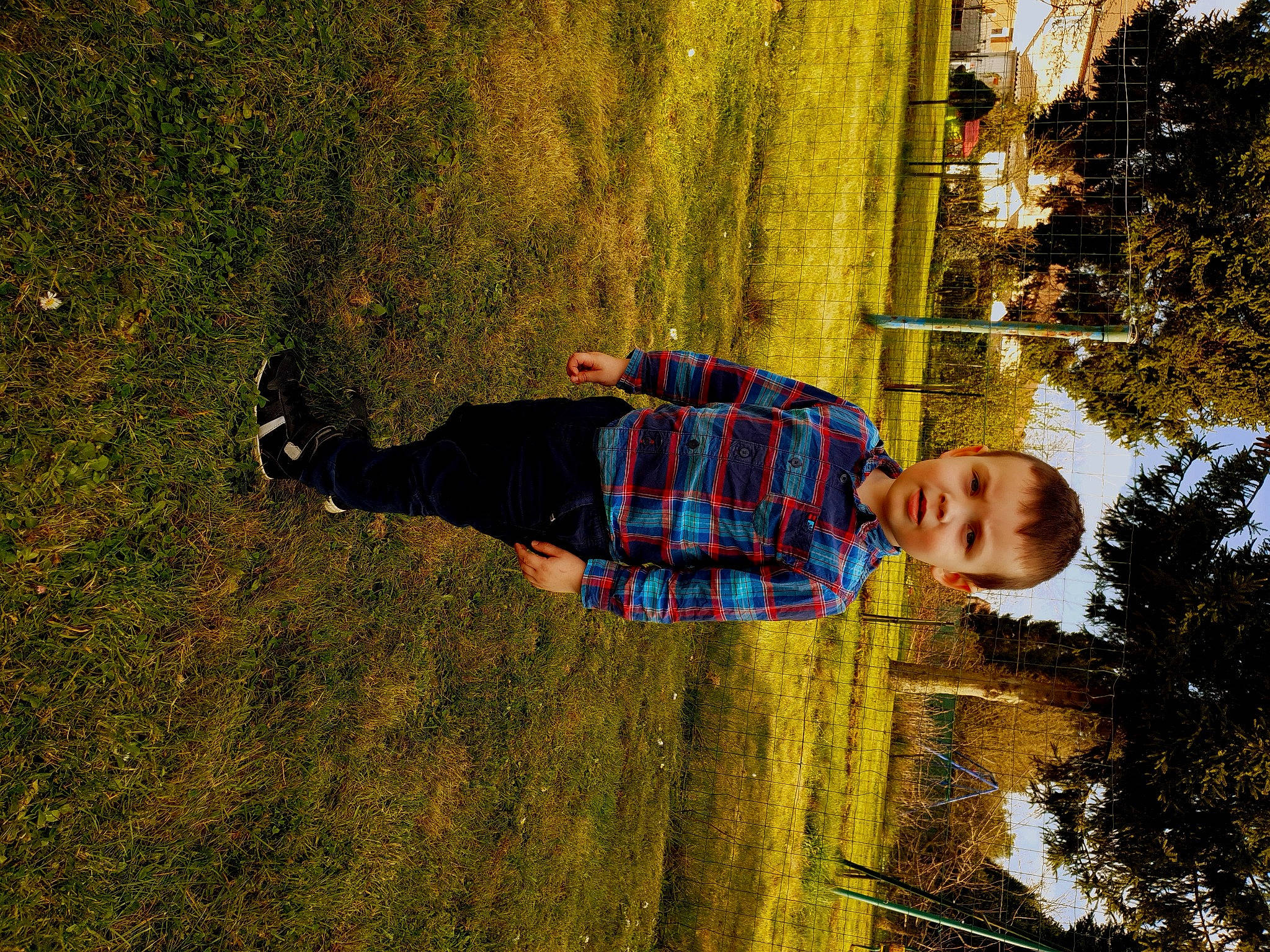 Malone a rejoint le concours — aidez-le/la à gagner de superbes lots ! child, design, pattern, person, photography, plant, rock, tree, wall, water, wood, yellow